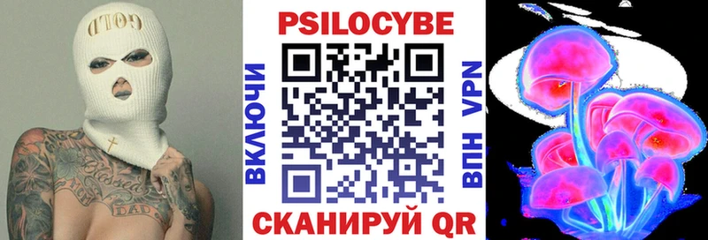 omg ссылки  Калач  Галлюциногенные грибы GOLDEN TEACHER 